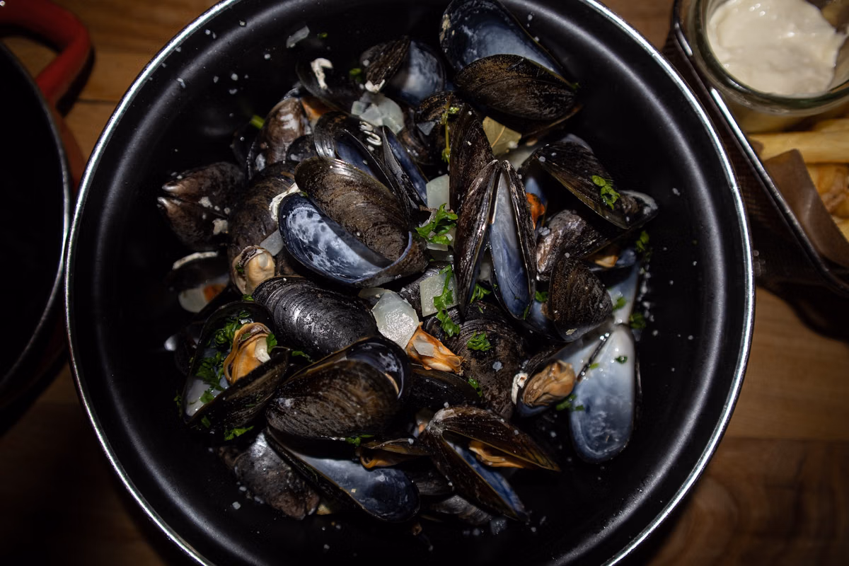 Blue Mussels